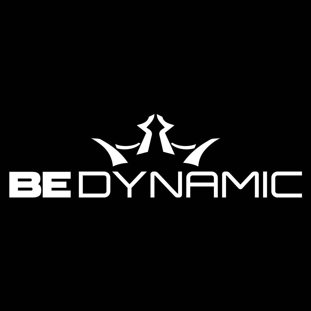 Dynamic Discs Be Dynamic Logo Vinyl Decal Sticker