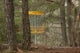 yellow and black metal signage near trees during daytime