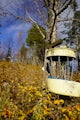 a broken outhouse in the woods with a tree in the background