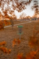 a frisbee golf goal in a park with a tree in the background