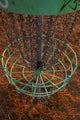 a close up of a frisbee golf cage