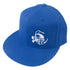 Discraft Embroidered Buzzz Logo Flexfit Disc Golf Hat